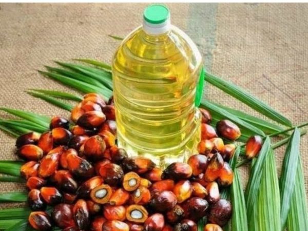Indonesia to ban the export of  palm oil and raw materials