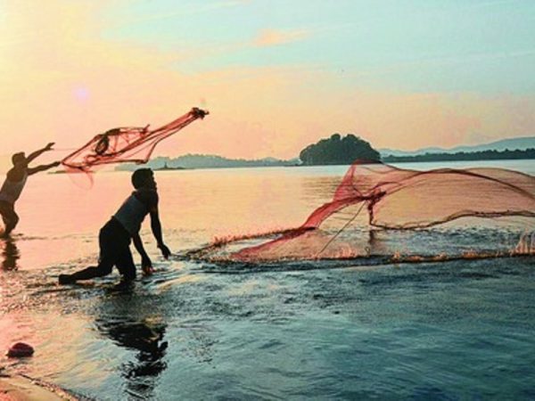Fishery sector of Assam to have a new farming firm