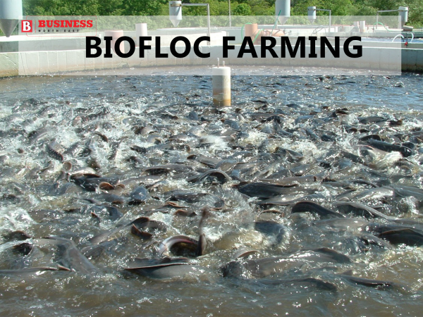 Biofloc Technology (BFT)- the new “blue revolution” in fish farming