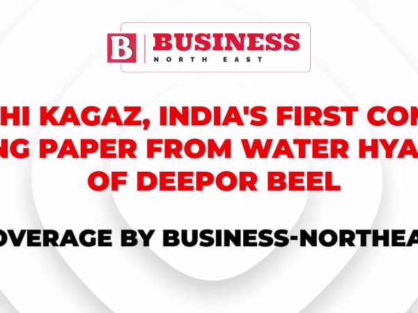 Kumbhi Kagaaz, making chemical free paper from water hyacinth of Deepor Beel
