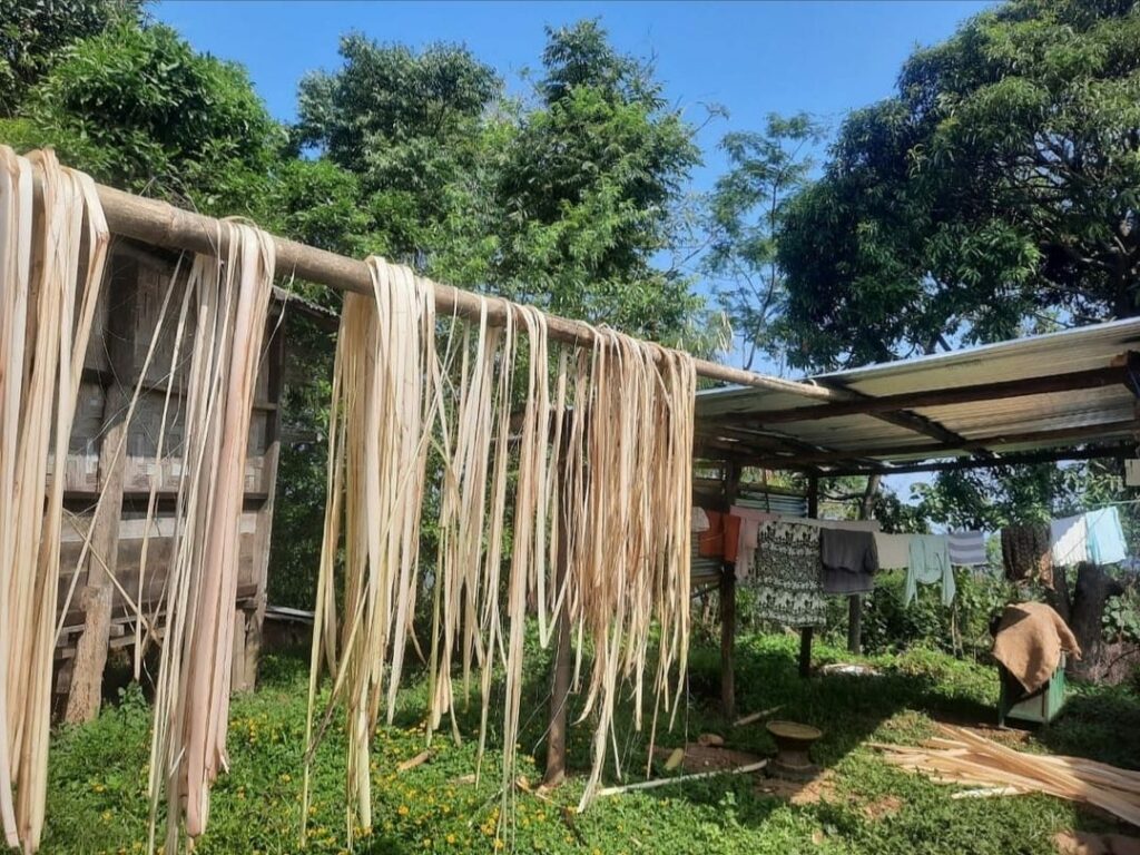 banana fibre